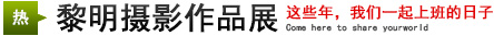 攝影展：這些年，我們一起上班的日子
